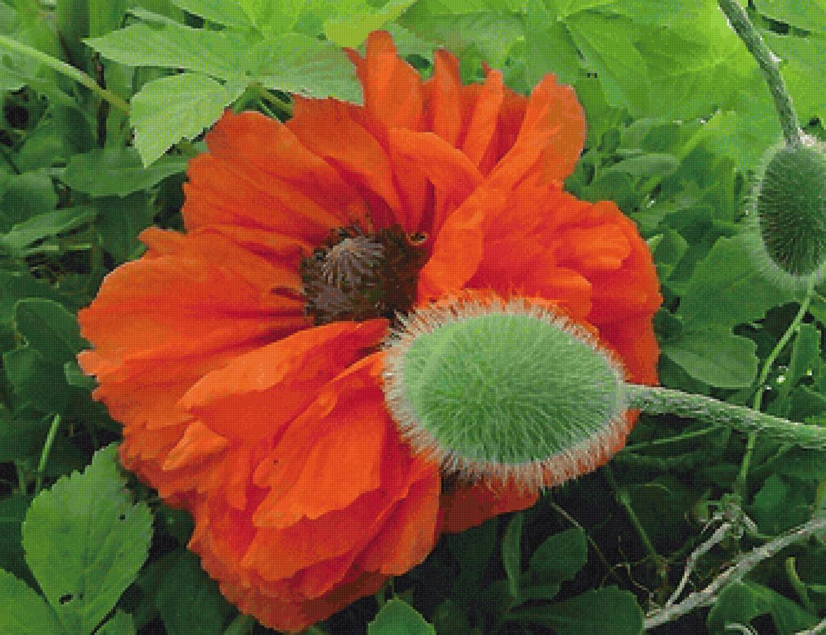 №2192487 - предпросмотр