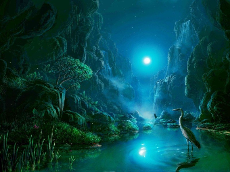 Ночка - природа, животные - оригинал