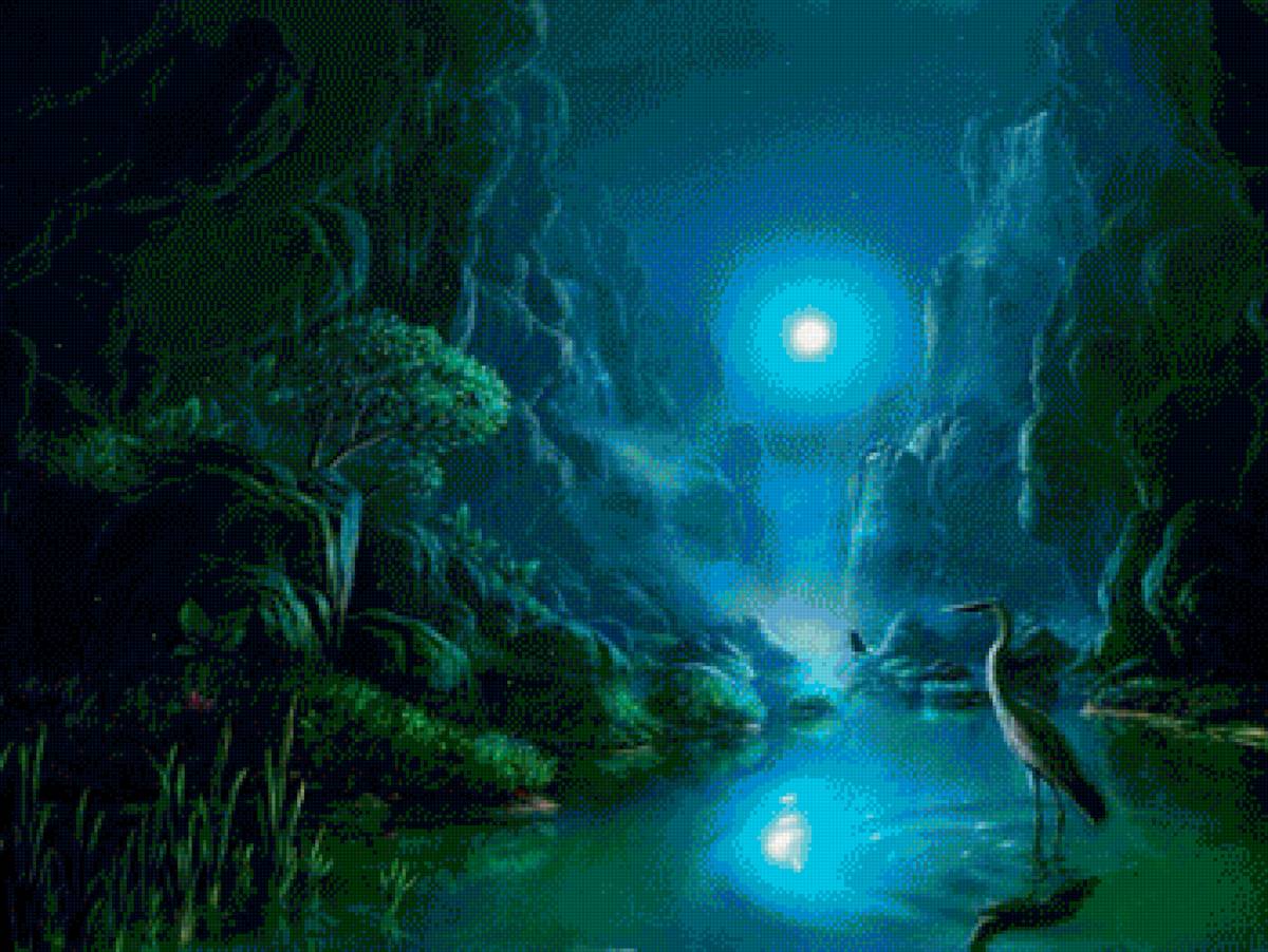 Ночка - природа, животные - предпросмотр