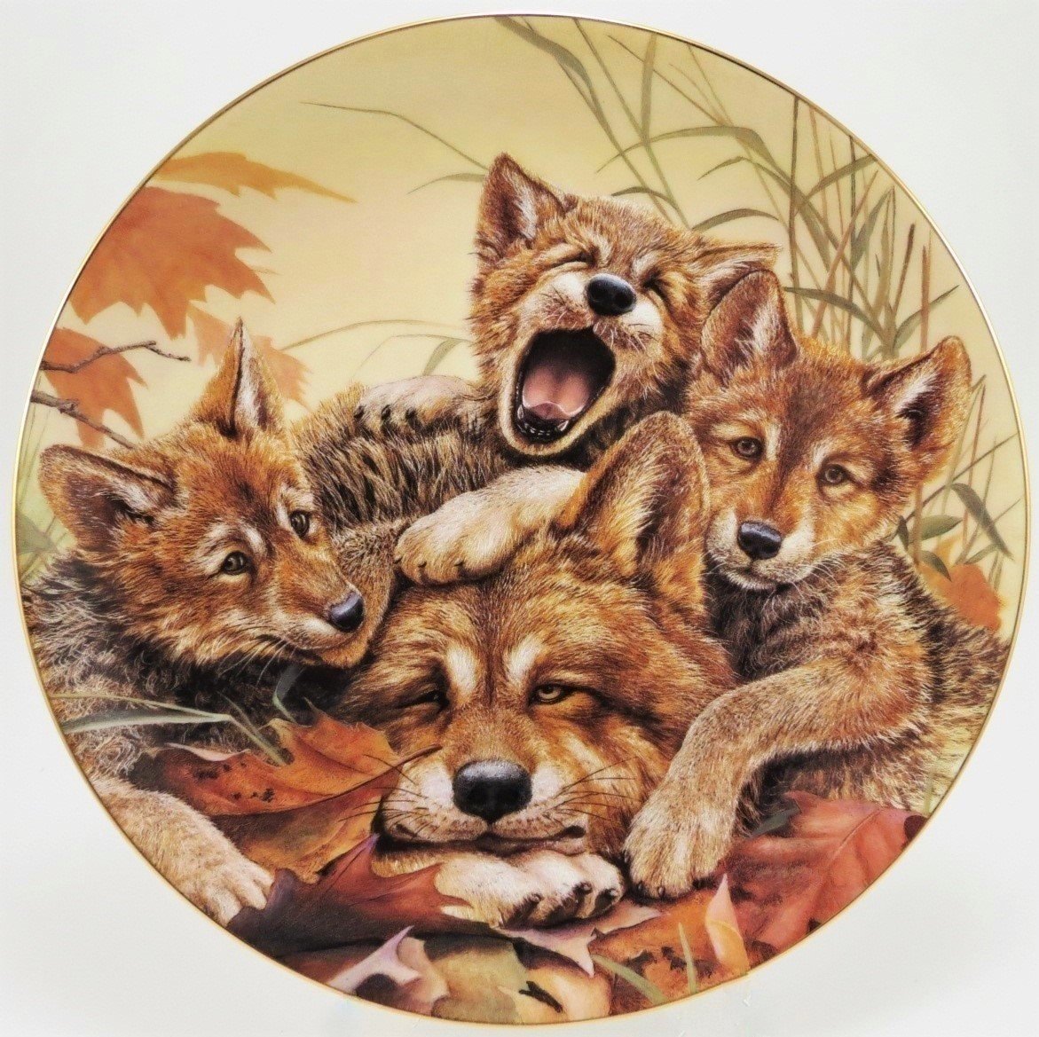 Волчья семейка - волчата, животные, волки - оригинал