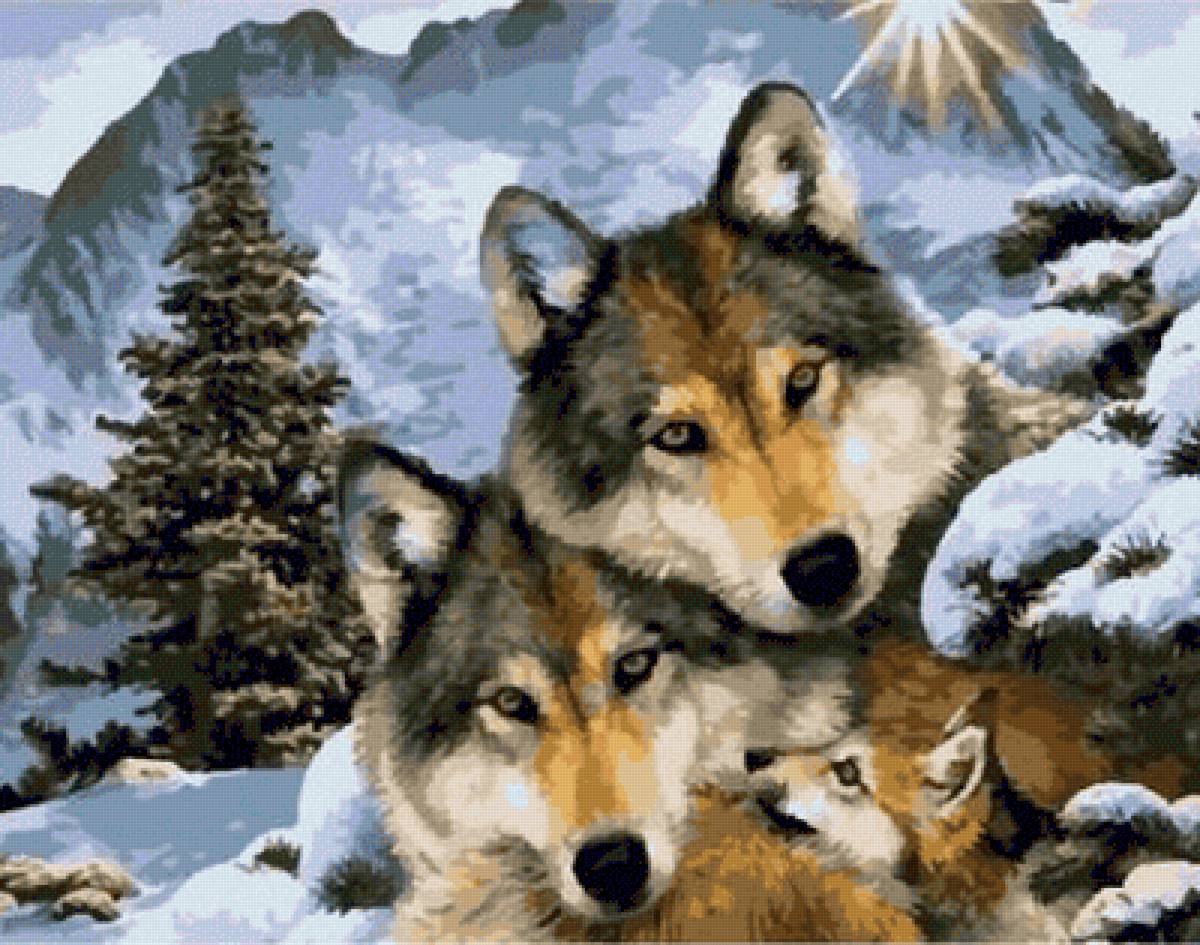 семья волков - зима, волчица, волченок, волк - предпросмотр