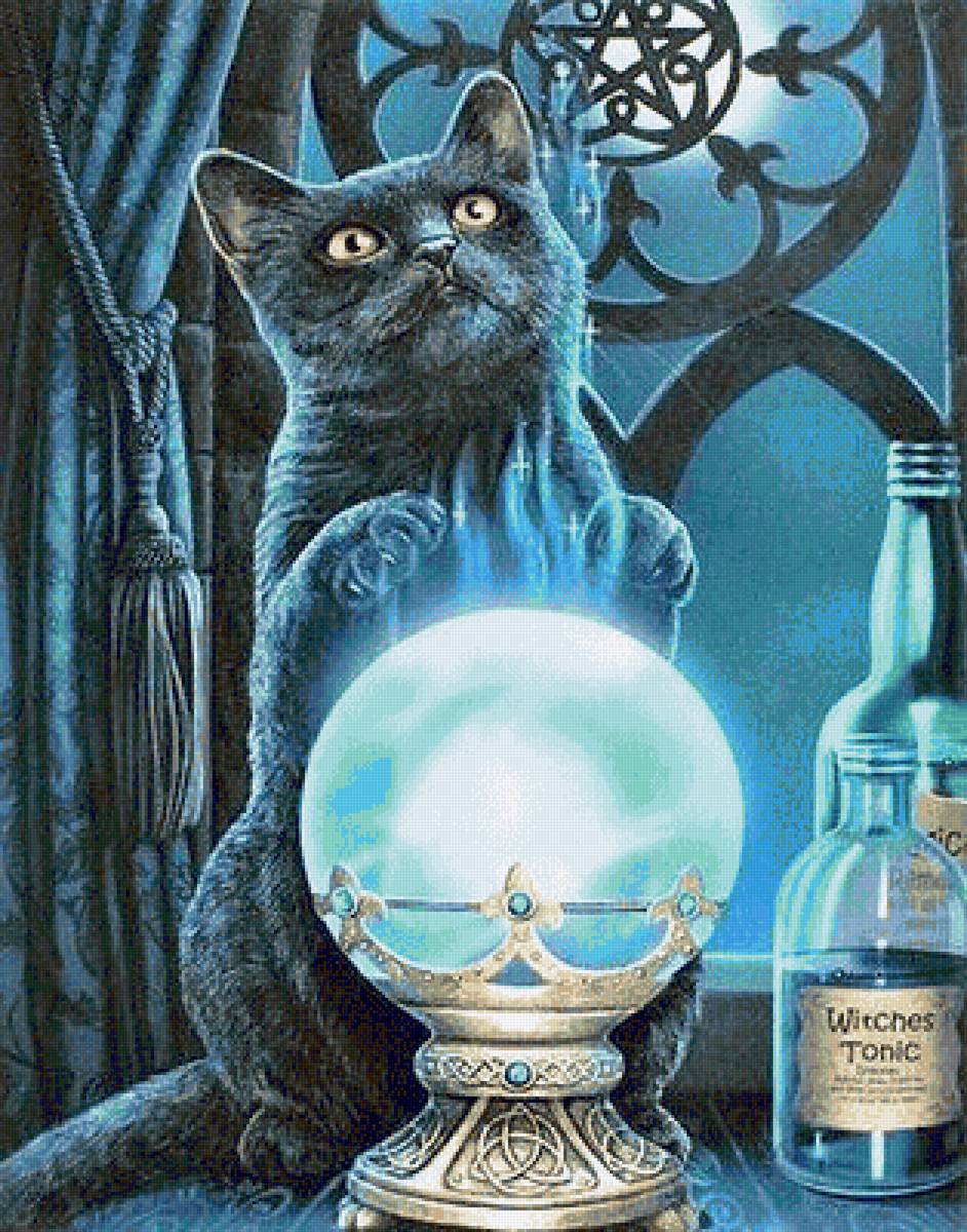 Magic cat - животные - предпросмотр