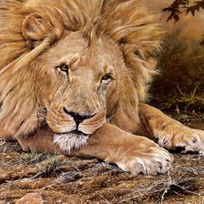 Схема вышивки «Мудрый лев»