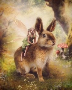 Сказка - фея, кролик, чудеса, сказка - оригинал