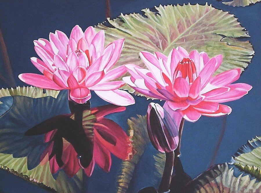 Кувшинки - оригинал