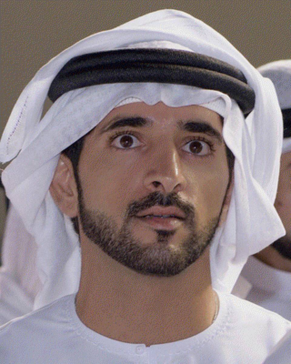 Хамдан аль Мактум - предпросмотр