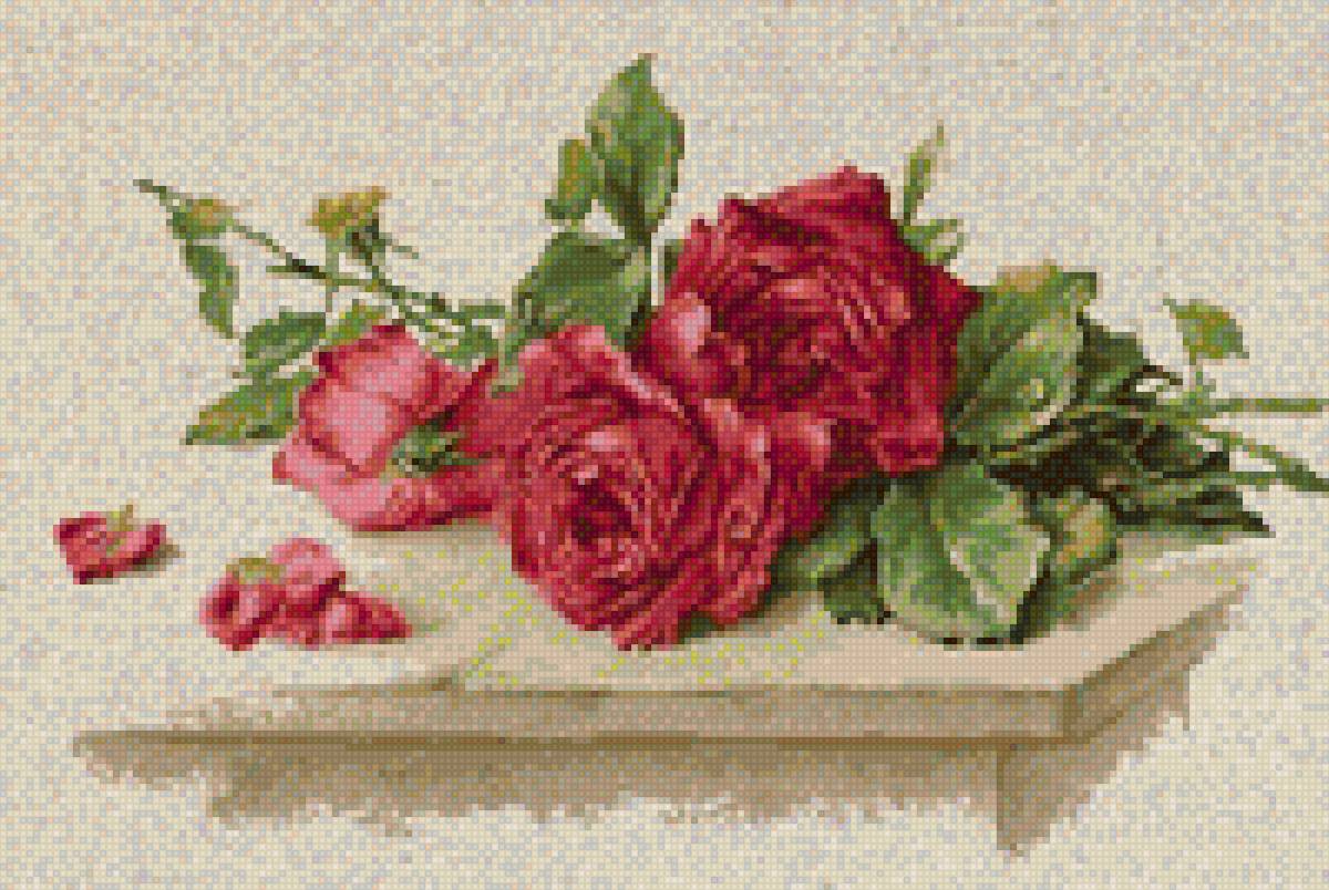 Rosas - flores rosas - предпросмотр