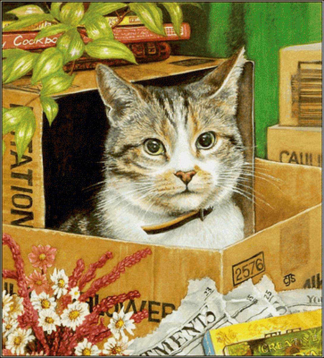 Киса - животные - предпросмотр