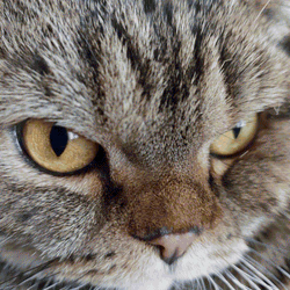 Моя красавица - предпросмотр