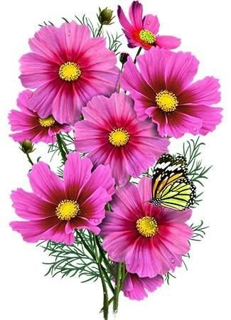 №2194576 - оригинал