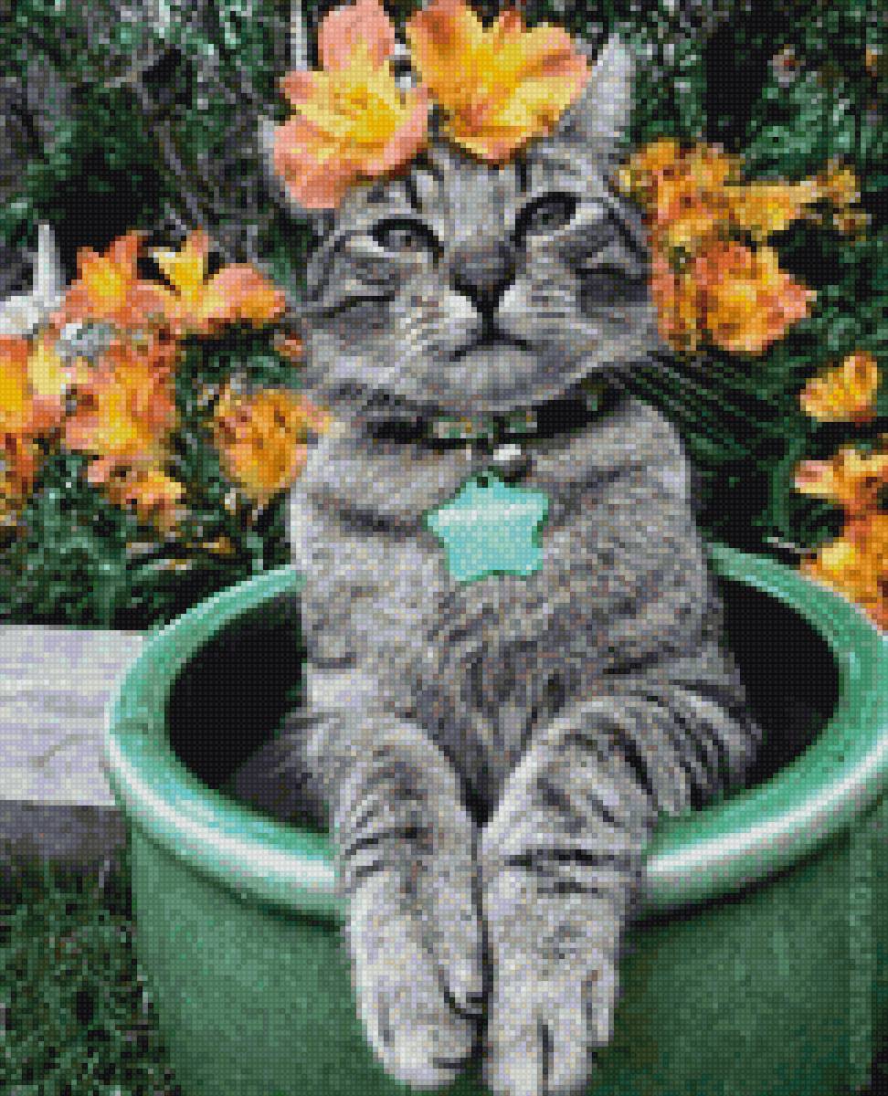 Красота у кота - кот, котик, цветы. - предпросмотр