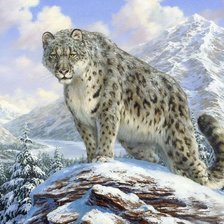 Снежный барс