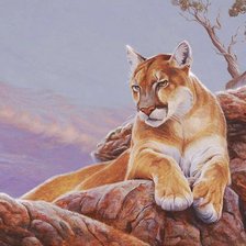 Схема вышивки «Пума»