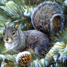 Схема вышивки «Белочка зимой»