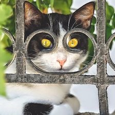 Схема вышивки «№2194883»