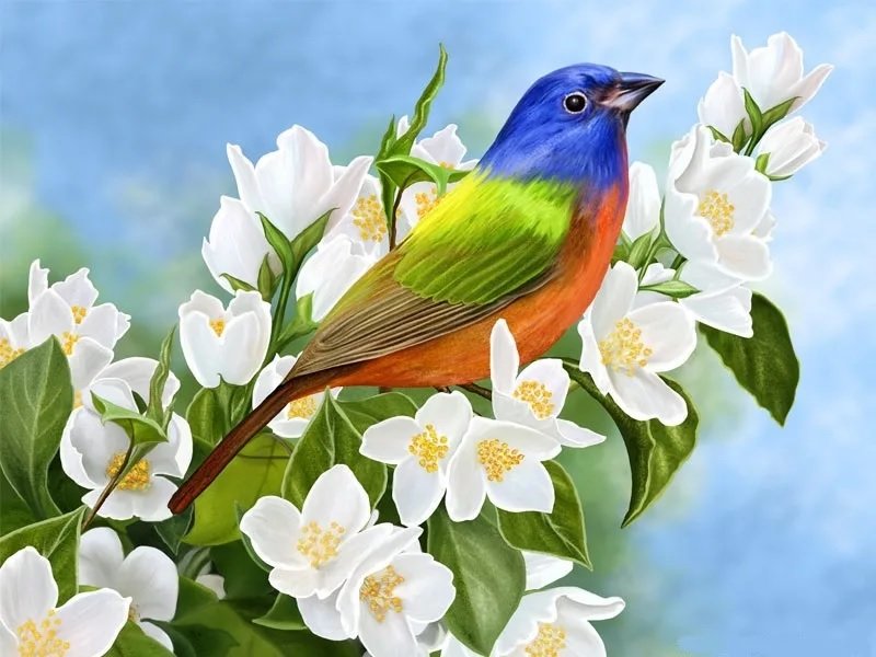 Pássaro. - flores .pássaros - оригинал