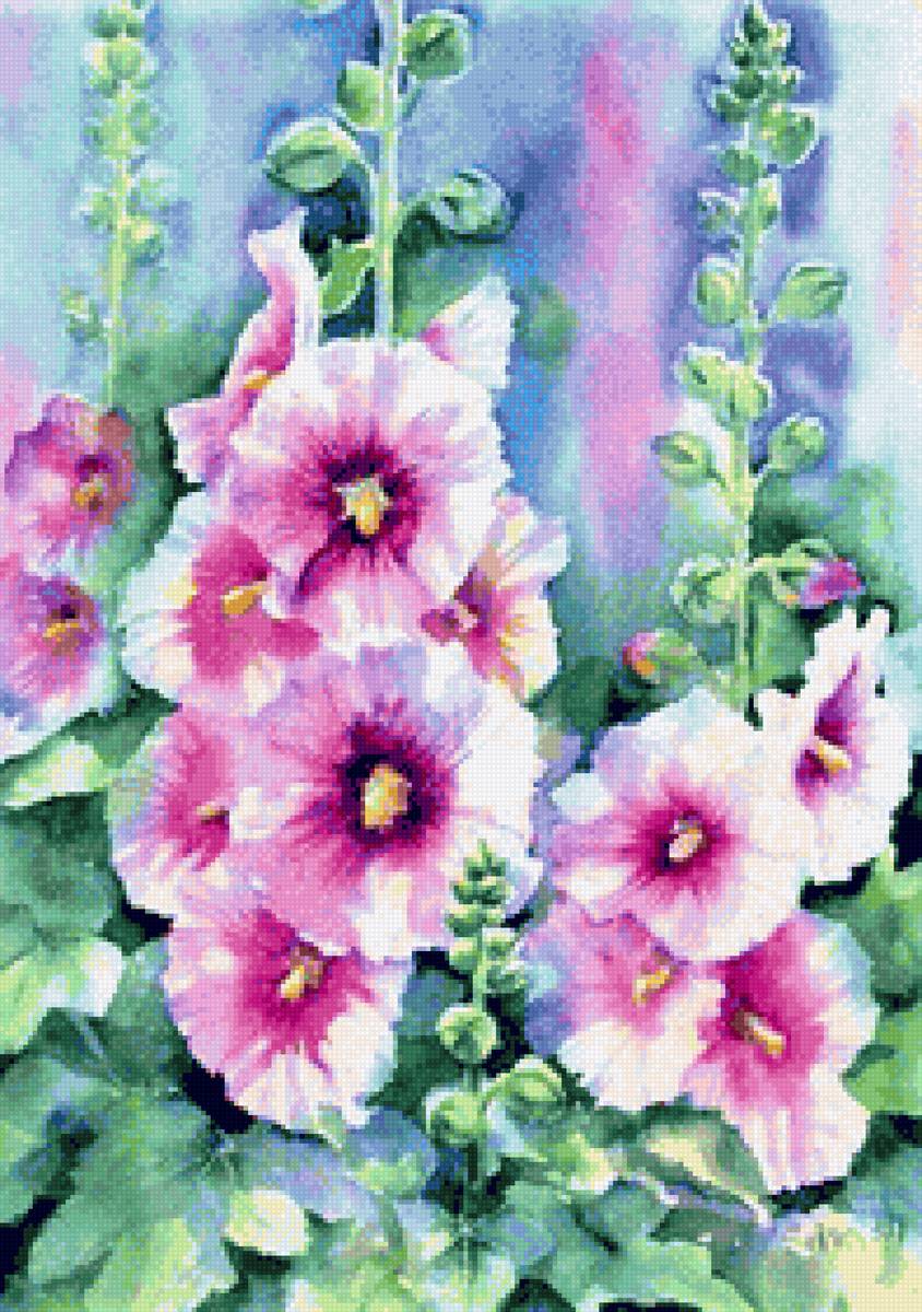 Malves - цветы - предпросмотр