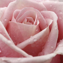 Схема вышивки «№2195405»