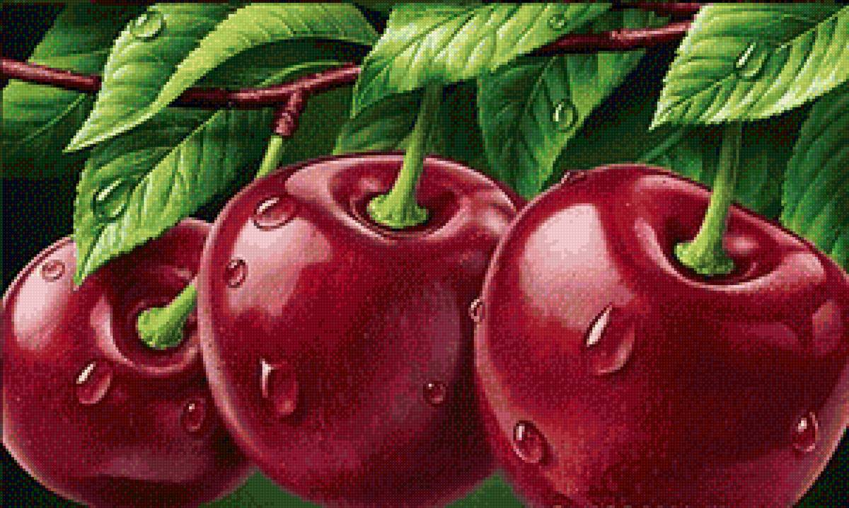 Вишенки - предпросмотр