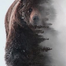 Схема вышивки «сила сибири 2»