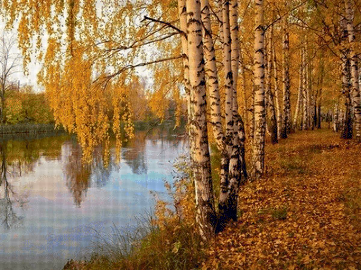 Золотая осень - предпросмотр