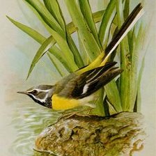 Схема вышивки «природа»