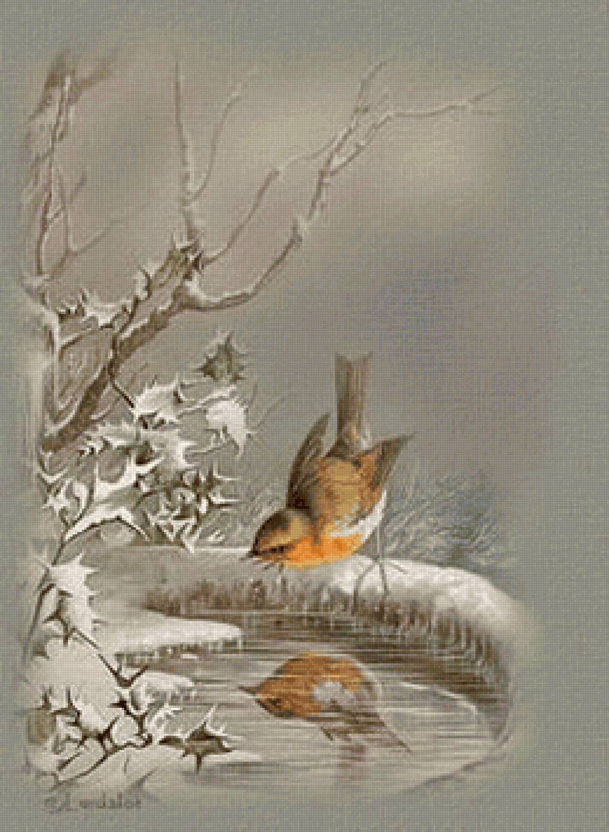 природа - птица - предпросмотр