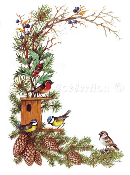 природа - шышки, ягоды, ветка, птицы - оригинал