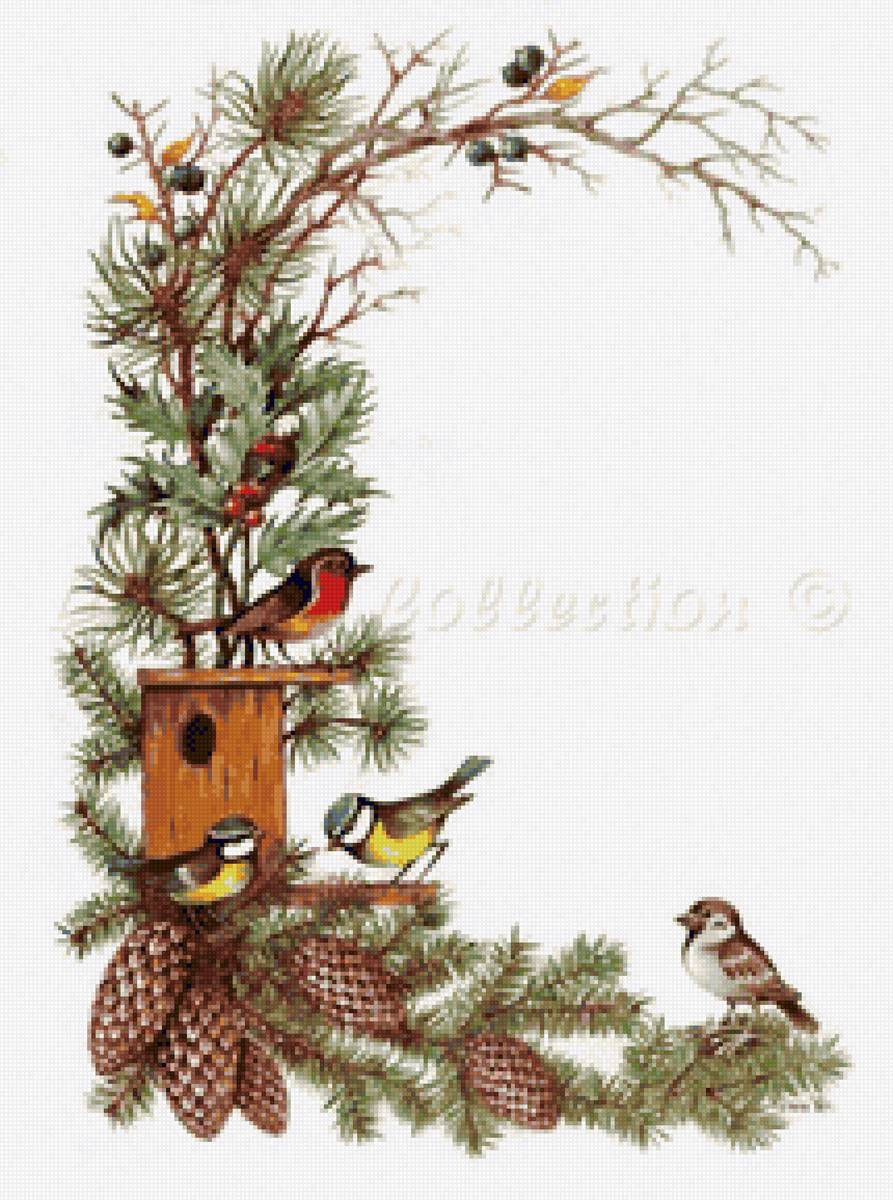 природа - шышки, ветка, ягоды, птицы - предпросмотр