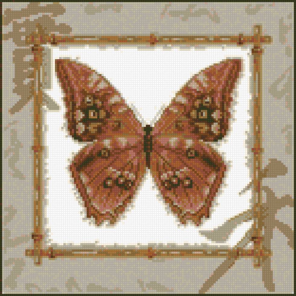 бабочка в рамке - бабочки - предпросмотр