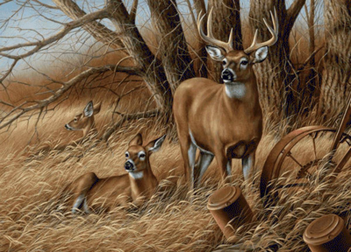 Олени на отдыхе - животные, деревья, колосья, олени - предпросмотр