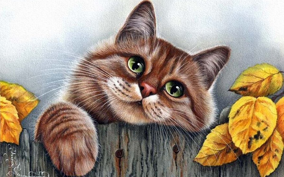 Осенний кот - кот, осень - оригинал
