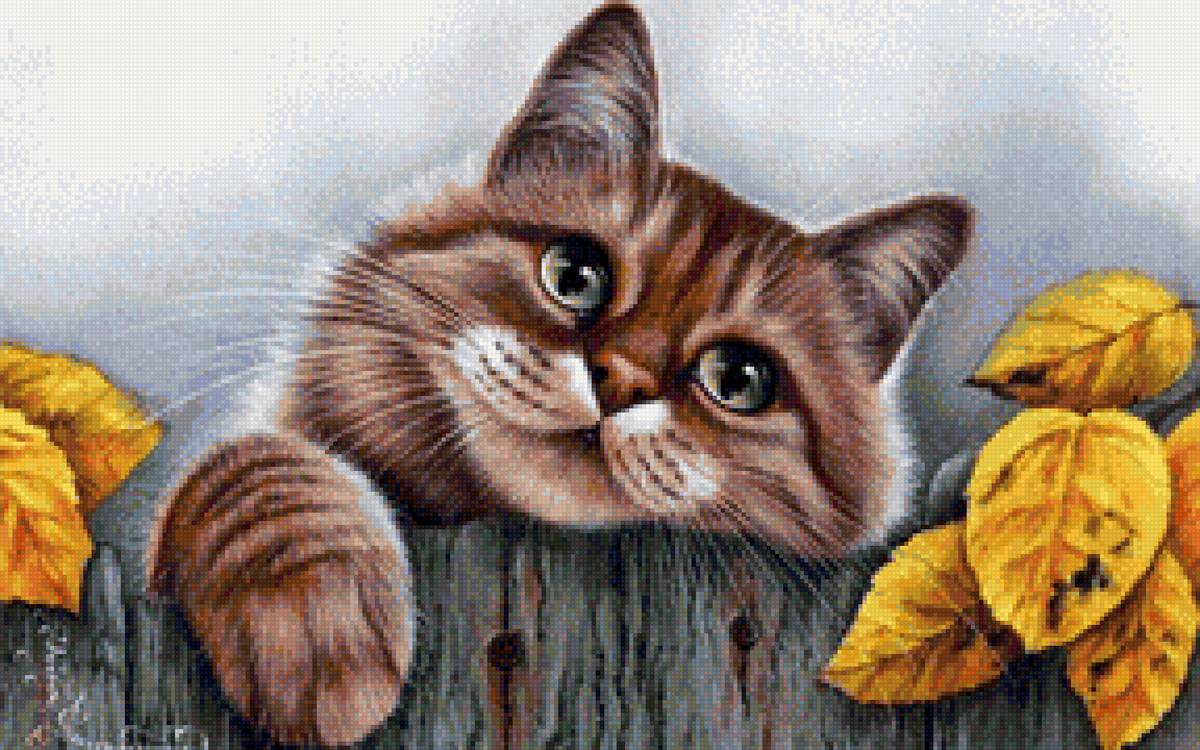 Осенний кот - осень, кот - предпросмотр