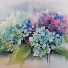 Схема вышивки «hortências»