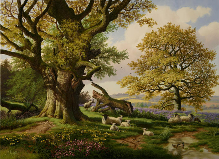 Овцы у дуба - овцы, пейзаж, дуб, деревья - оригинал