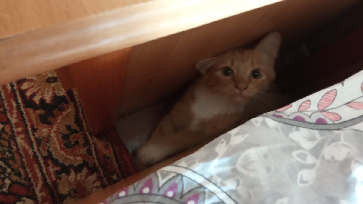 Вот и я - оригинал