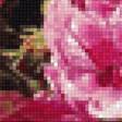 Предпросмотр схемы вышивки «натюрморт с розами» (№2197131)