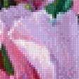 Предпросмотр схемы вышивки «садовая фантазия» (№2197374)