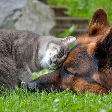 Схема вышивки «Друзья»