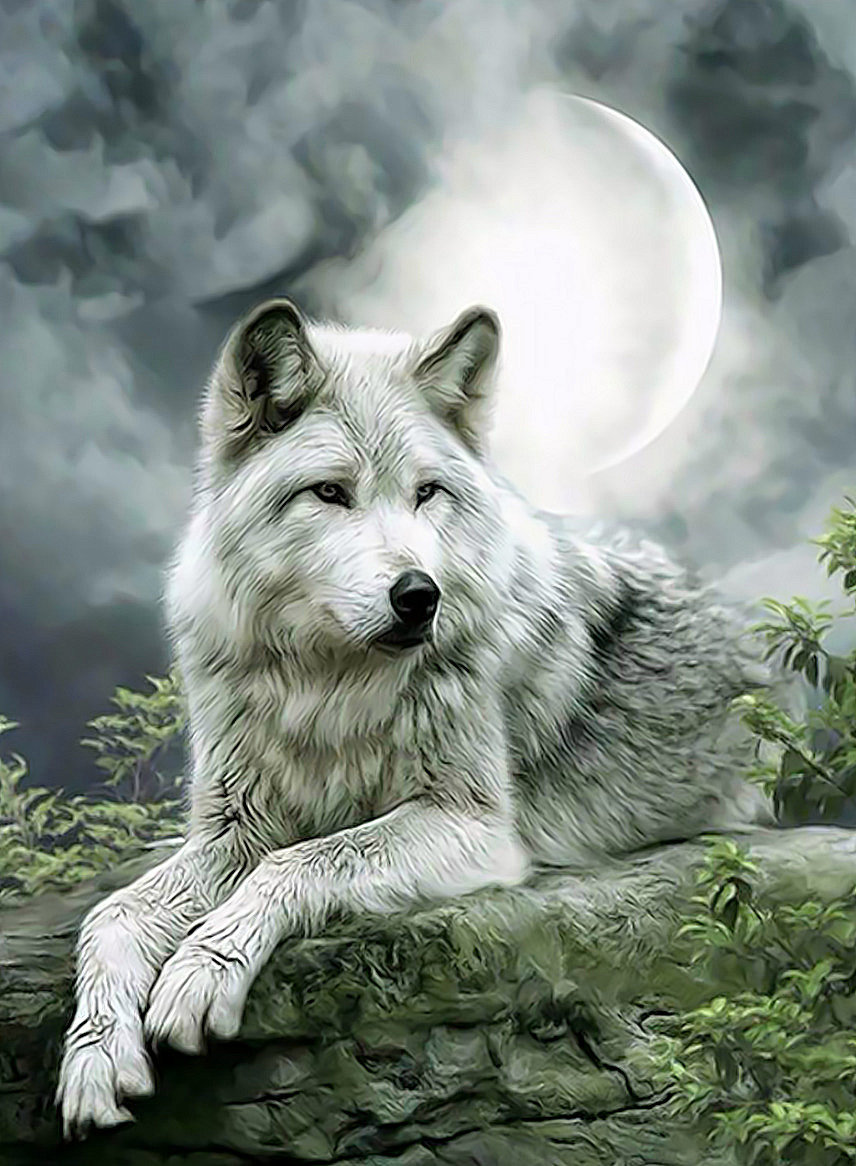 Волк. - луна, животные, живопись, хищник, взгляд, волк, рисунок - оригинал