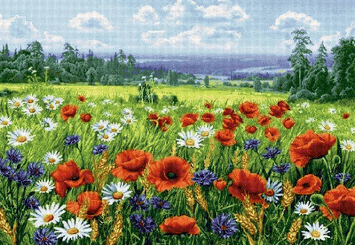 цветы - предпросмотр