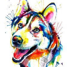 Схема вышивки «Разноцветный хаски»