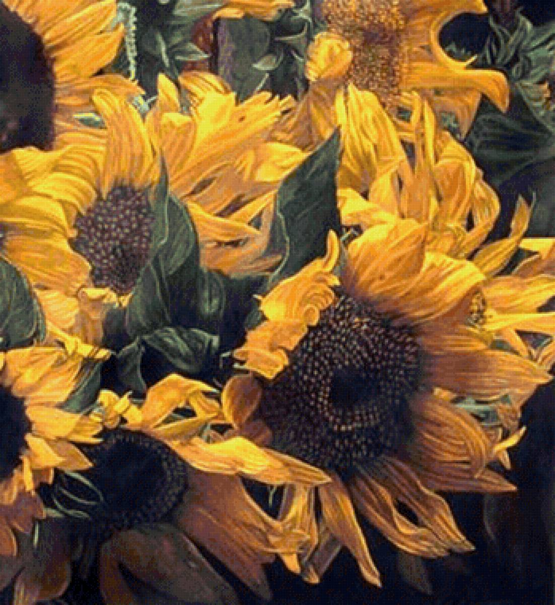 Girassóis - flores.girassóis. - предпросмотр