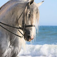 Схема вышивки «Лошадь и море»