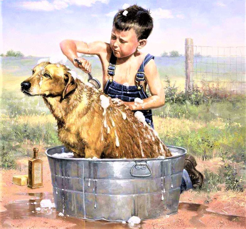Washing my friend - животные, люди - оригинал