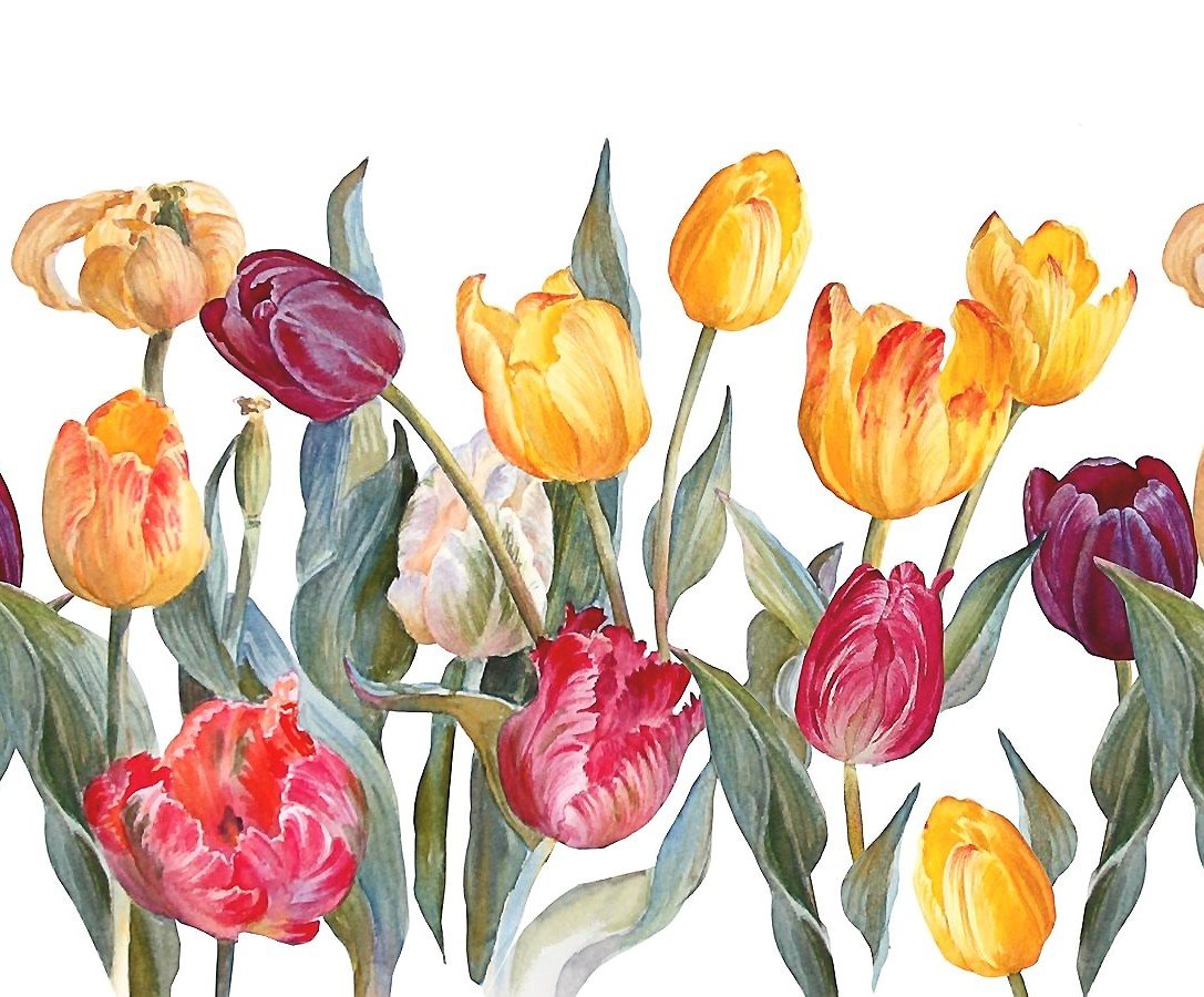 тюдьпаны - оригинал