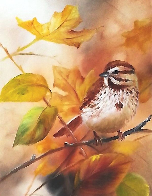 птаха - оригинал