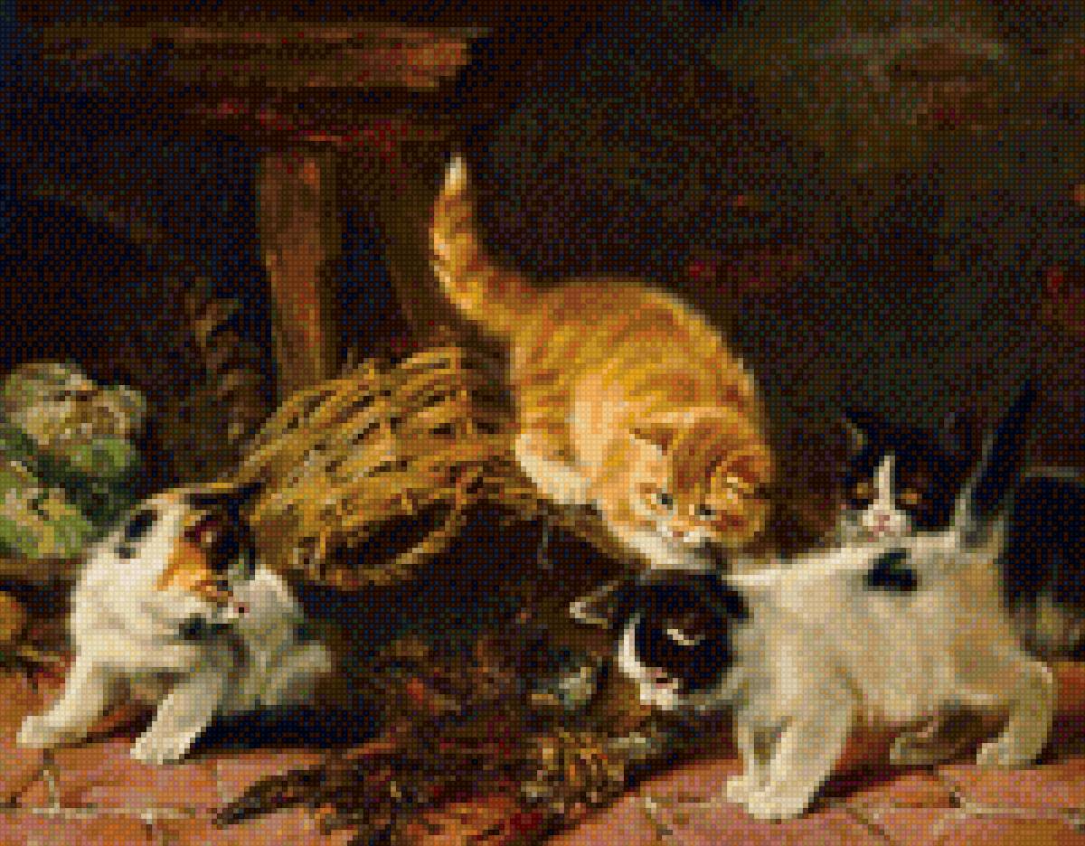 Котята - предпросмотр