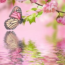 Схема вышивки «Бабочка над водой»