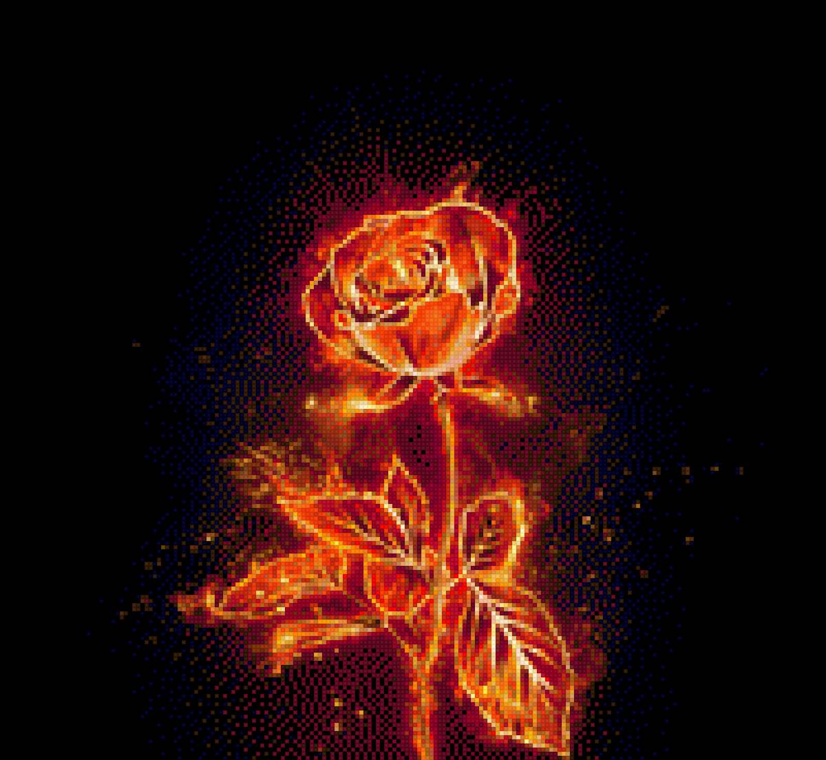 Цветы деньги и огонь. Огненный цветок Геншин. Цветок в огне.